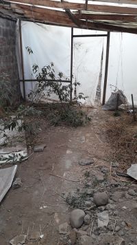 2018 - Patio Ex-Huerto completamente en desuso