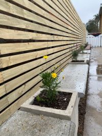 2022 - Habilitación segunda etapa